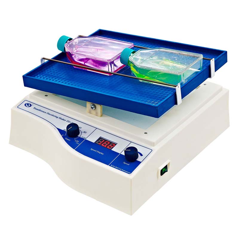 海門其林貝爾轉(zhuǎn)移搖床（數(shù)顯、定時(shí)）ZD-2008